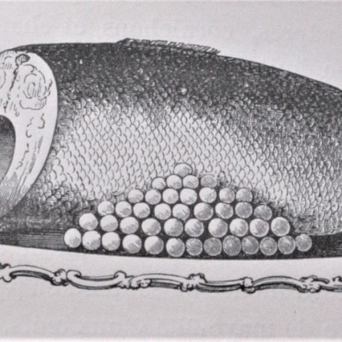 Рыбная буженина. Иллюстрация из книги Urbain Dubois «École des cuisinières» (1876 г.)